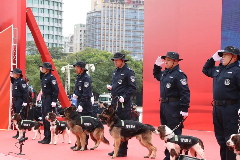 关于萨克拉门托国王训练开放日，清晨战术微调引欢呼，足总杯在即，控场能力受关注的信息
